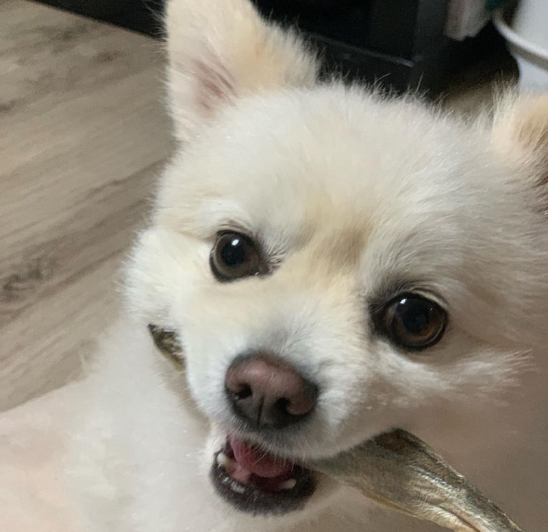 KakaoTalk_20240220_221028431_04.jpg