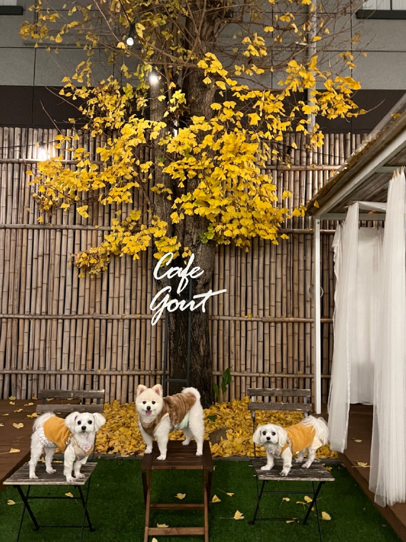 대구 팔공산 곳(카페겸식당)