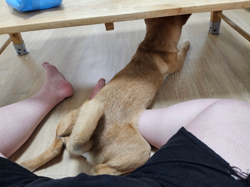 일상공유