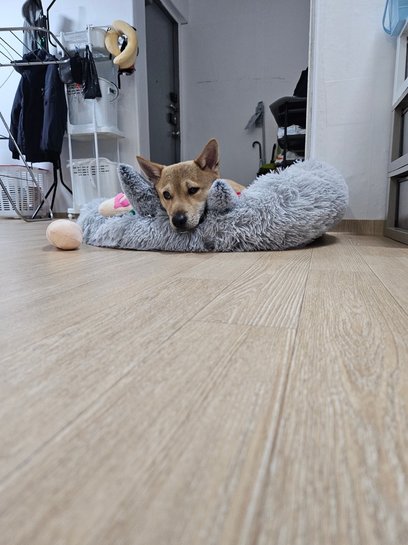 일상공유3