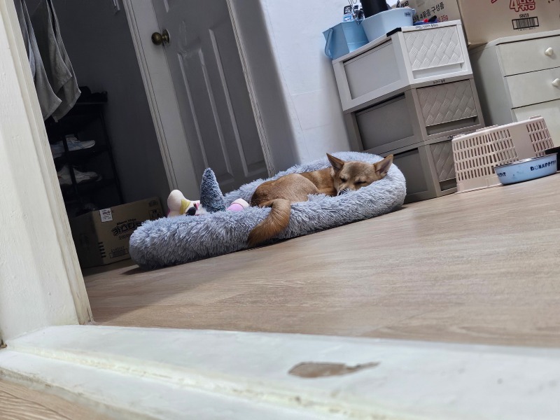 일상공유3