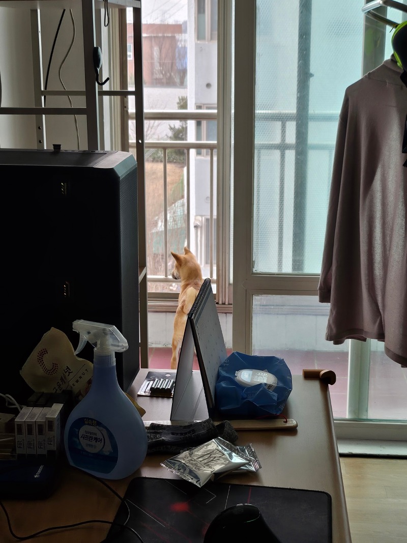 일상공유4