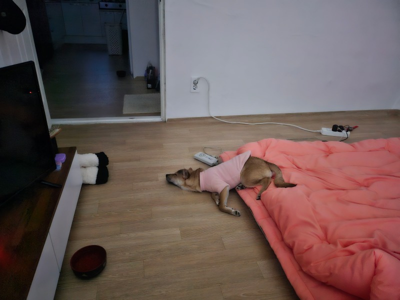 일상공유6