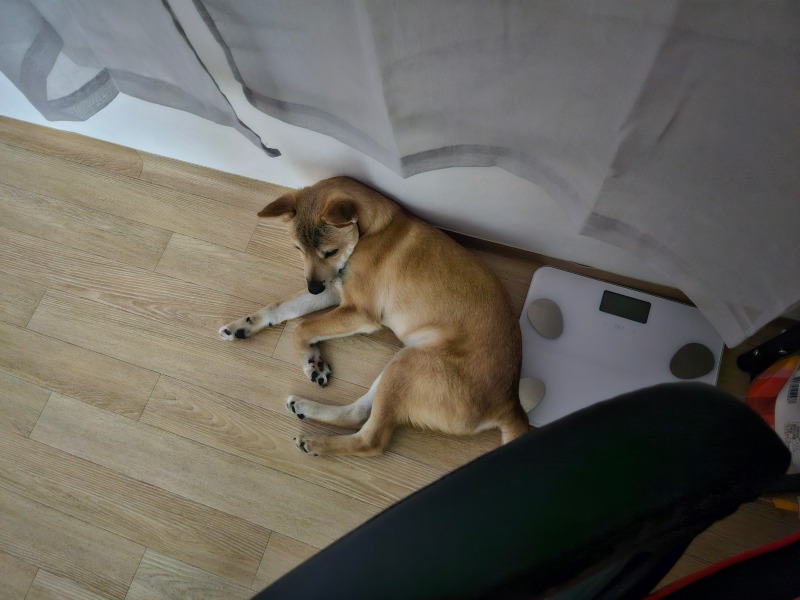 일상공유