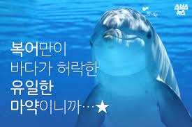 신비한 동물사전 - 마약을 즐기는 동물들?