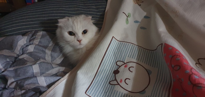 안냥~! 츄츄에오