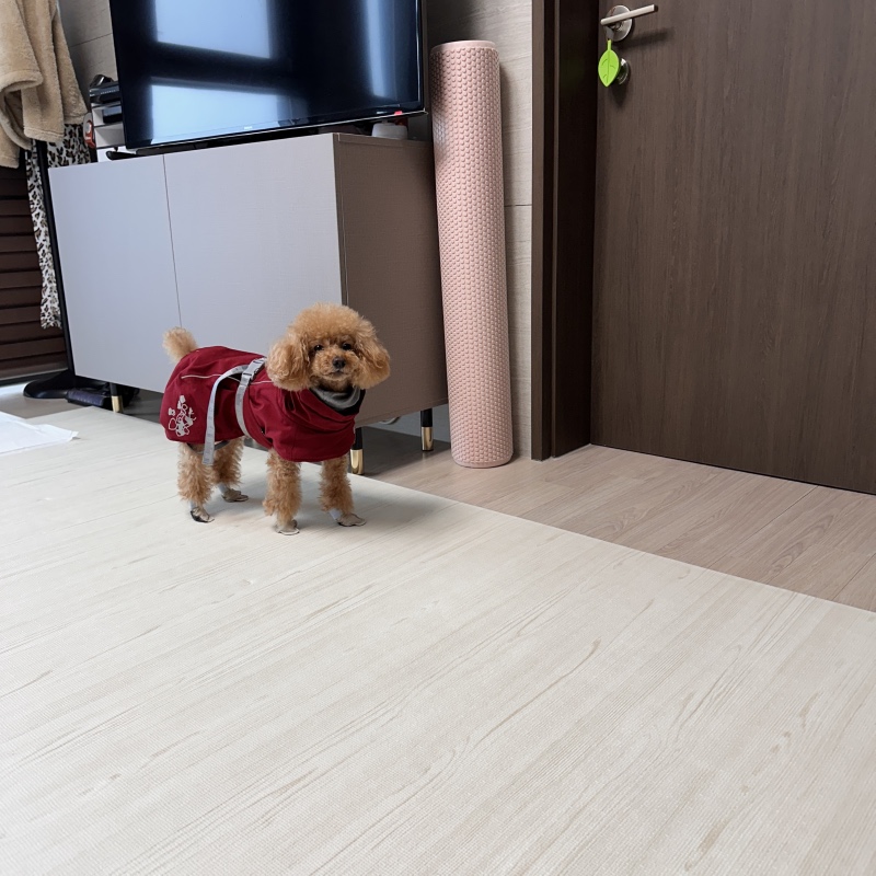 눈이 올땐 친구집으로!