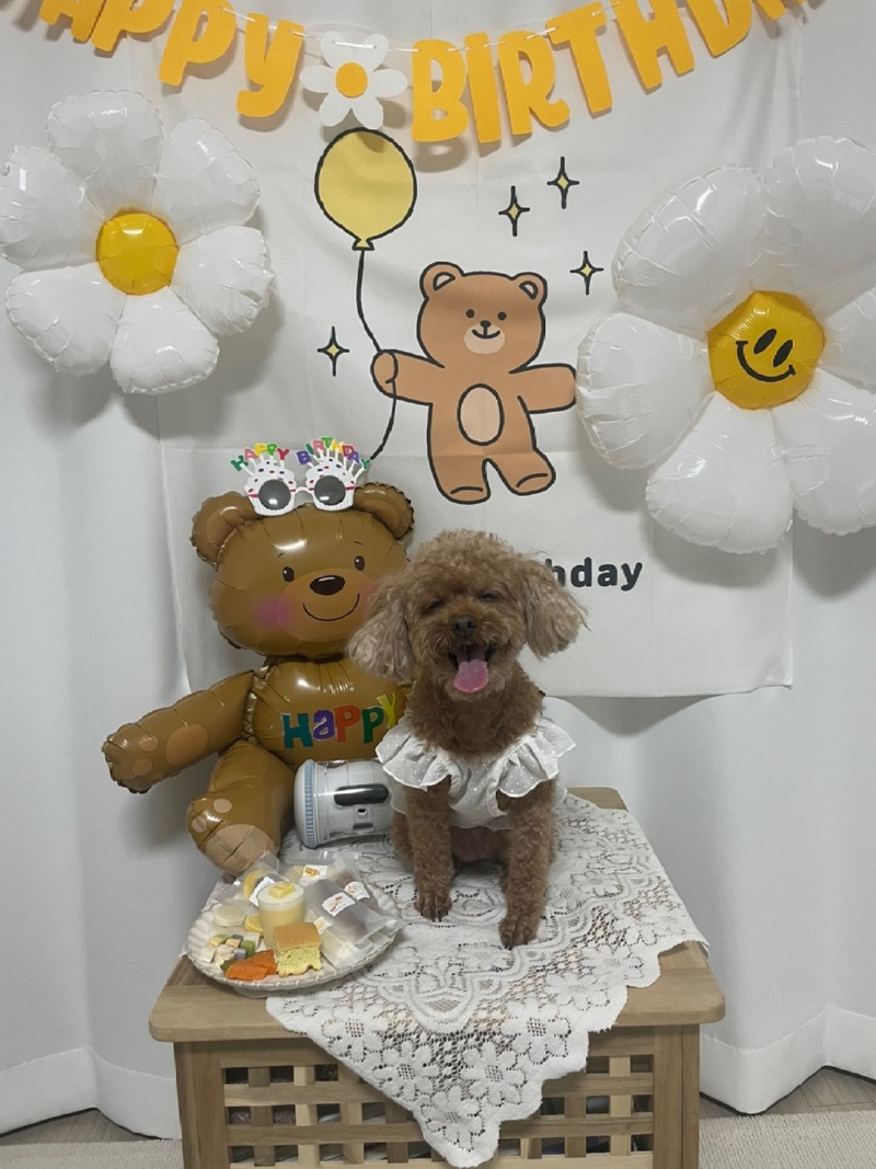 우리솜이 생일파티