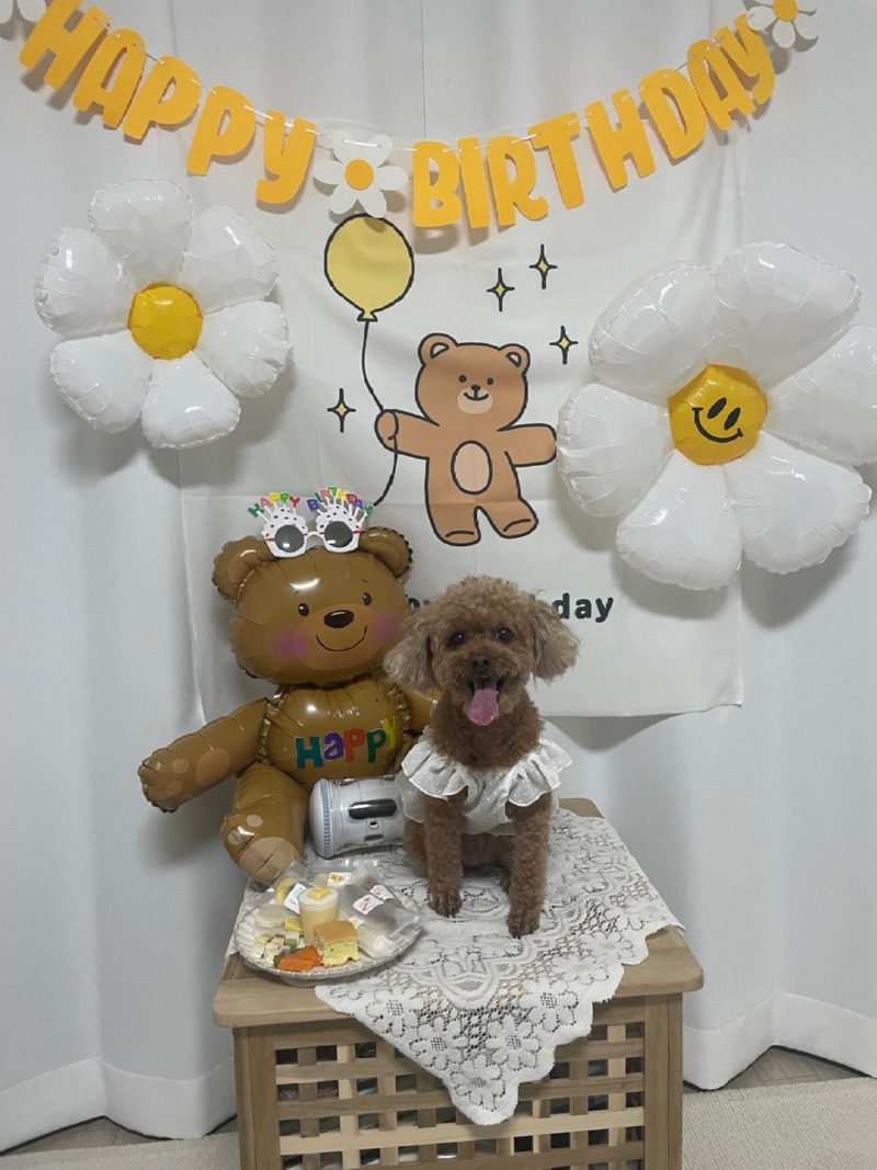 우리솜이 생일파티