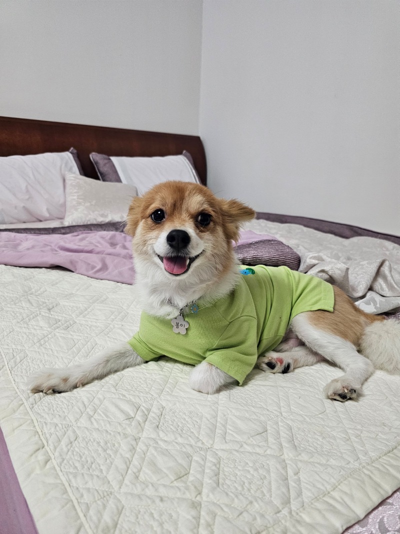 아가 봄이