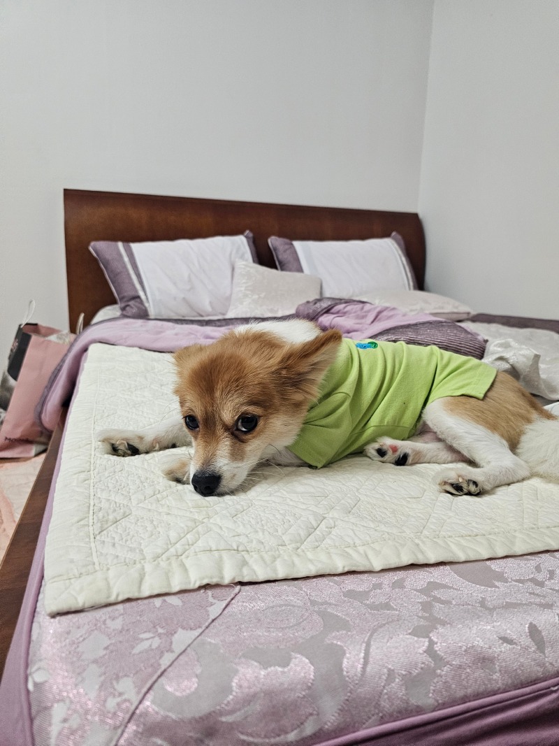 쿨쿨 침대가 좋아