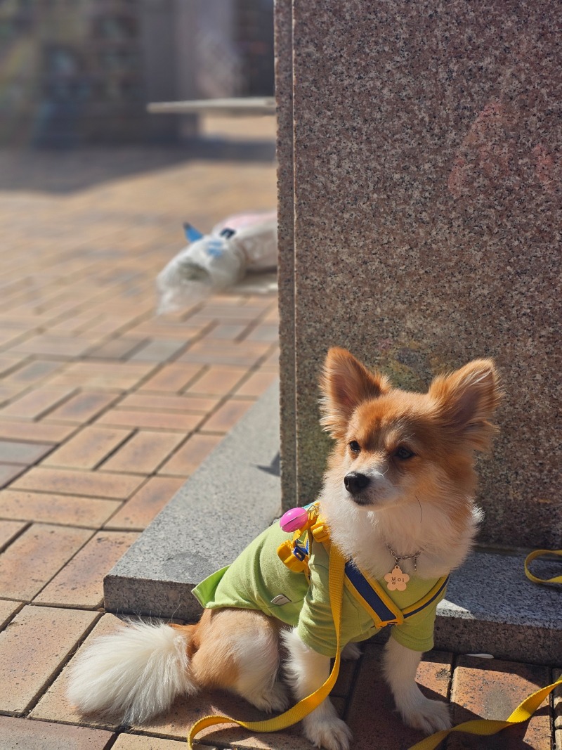 여행