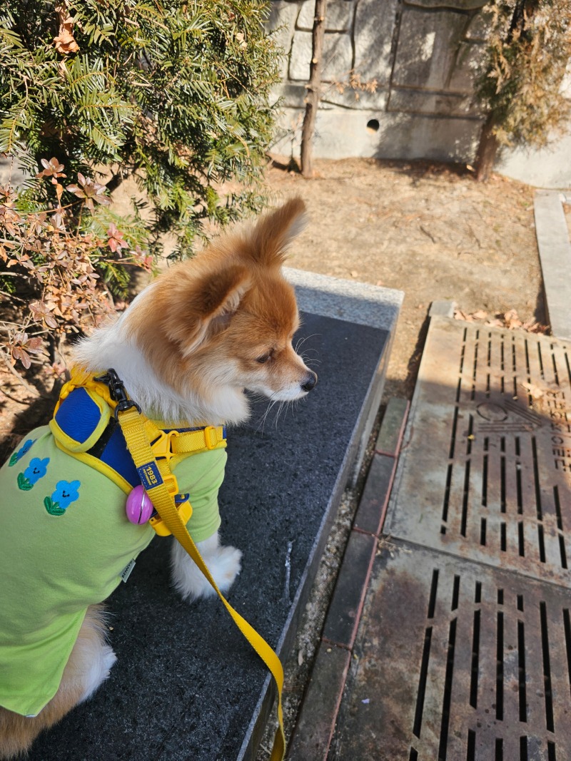 여행