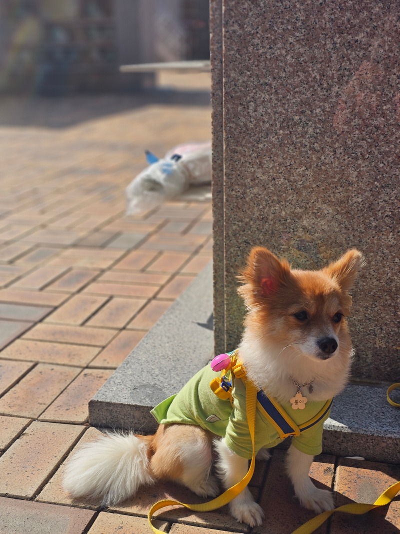 여행