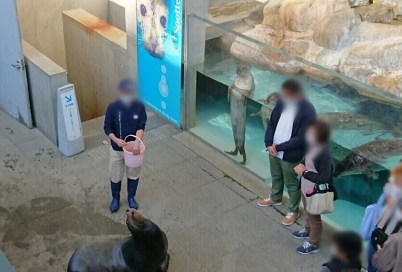 바다사자한테 먹이주는거 구경하는 관객 2명 