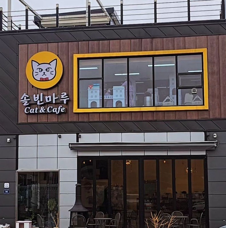 고양이카페 솔빈마루