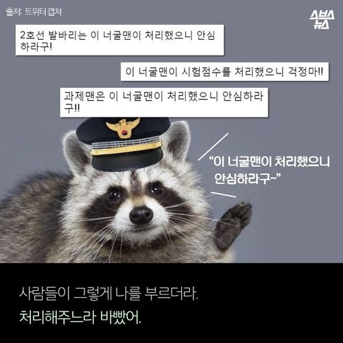 너굴맨 라쿤 오해와 진실