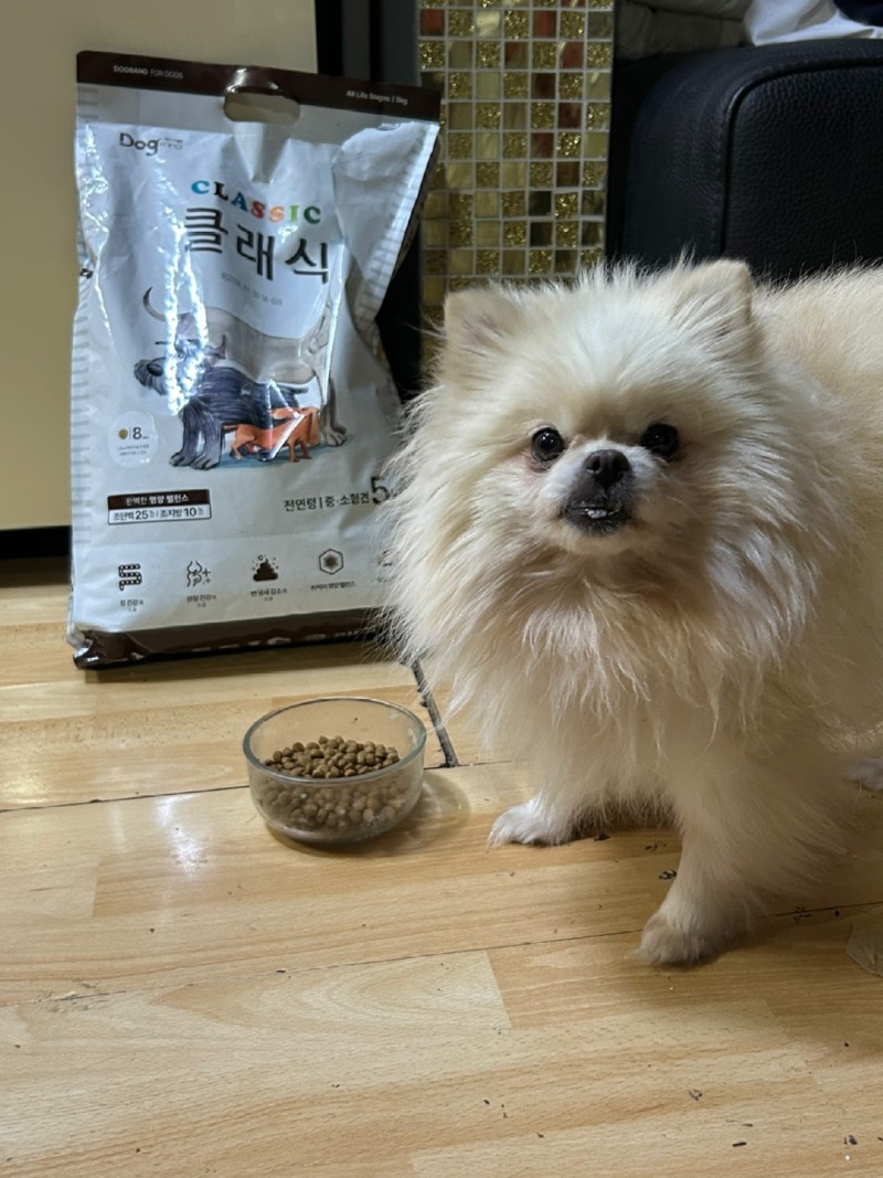 KakaoTalk_20240226_231207032_02.jpg