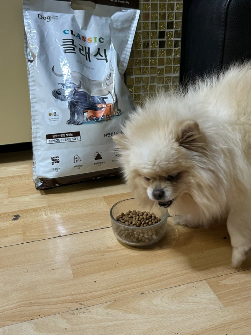 KakaoTalk_20240226_231207032_01.jpg