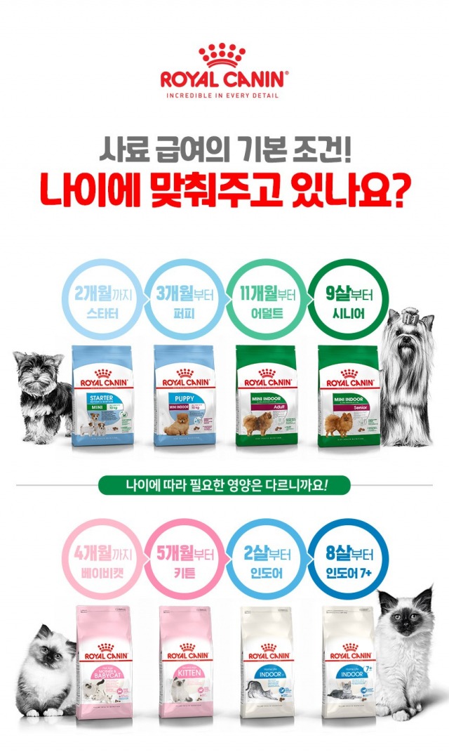 반려동물 식단에 대한 잘못된 정보!