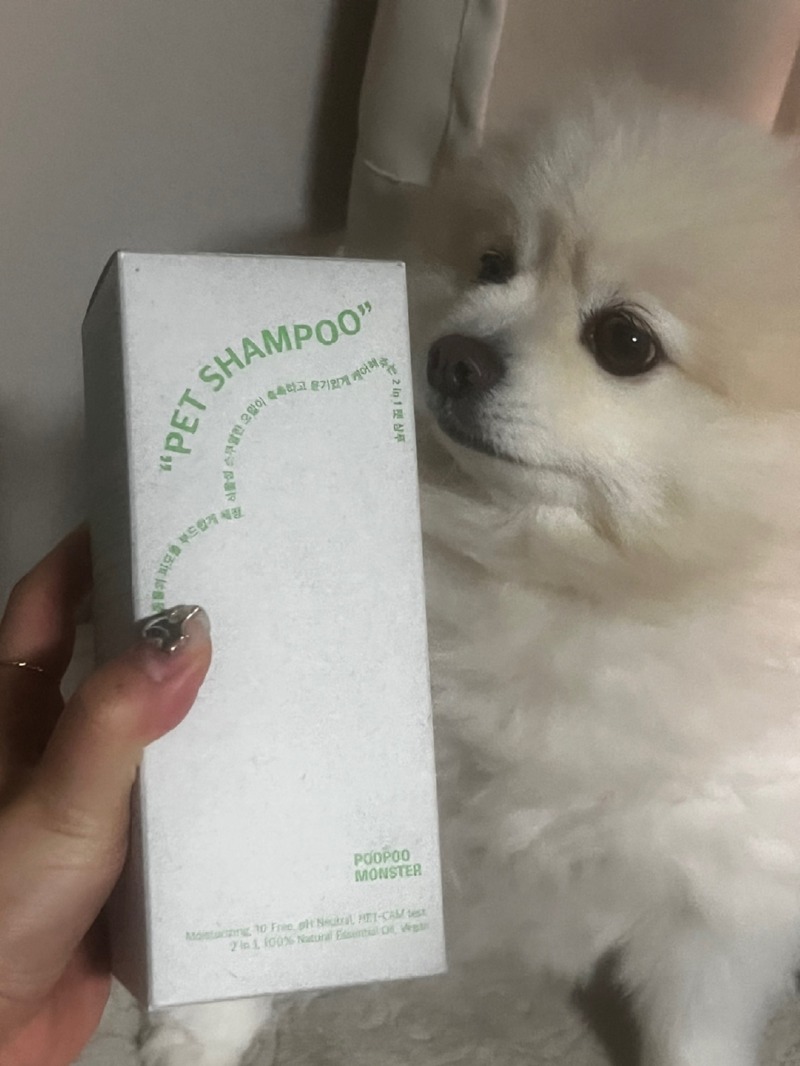 KakaoTalk_20240229_012903793_02.jpg
