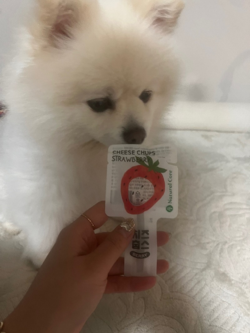 KakaoTalk_20240229_012924587_02.jpg