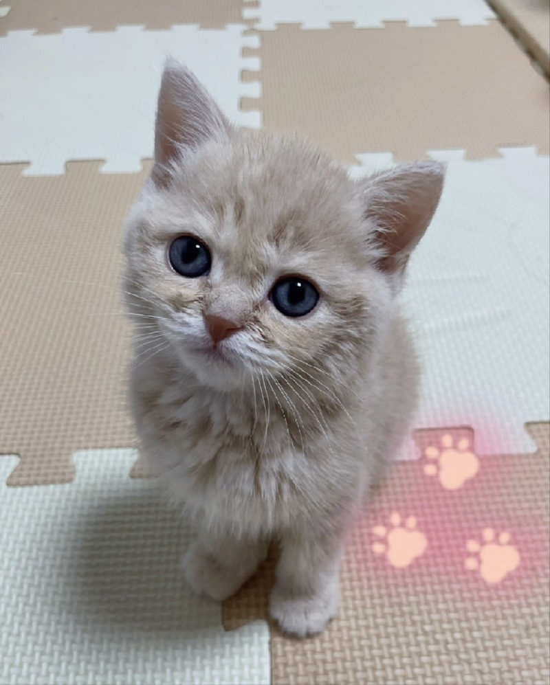 인형인줄..
