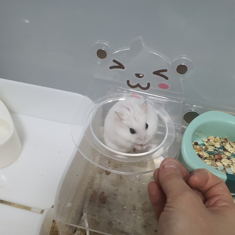 작고 귀여운 친구예요❤