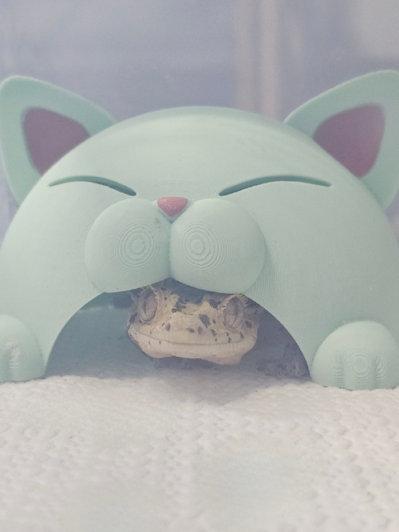 크레들은 은신처이용많이해요!!