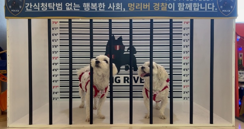 멍리버 (대구애견카페, 대구강아지동반카페)