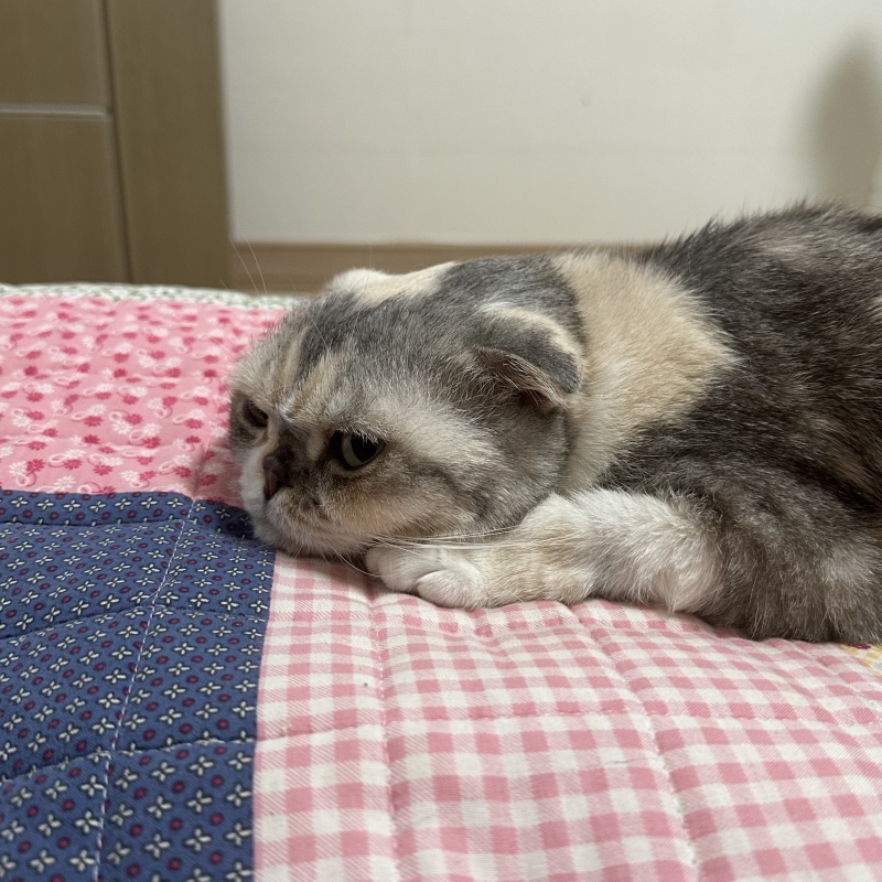 표정이 뾰루퉁