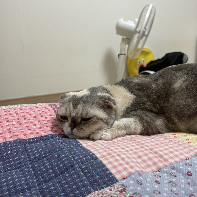 표정이 뾰루퉁