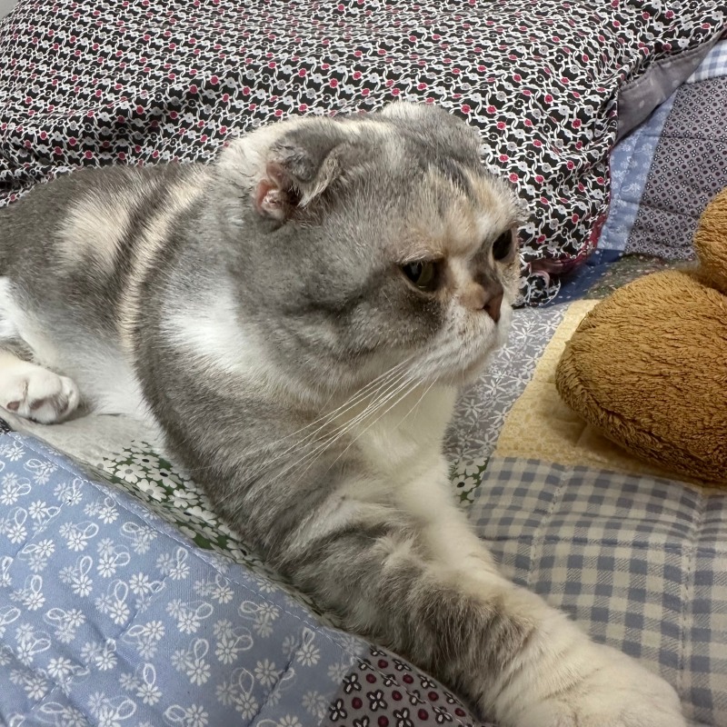KakaoTalk_20240306_193101489_02.jpg