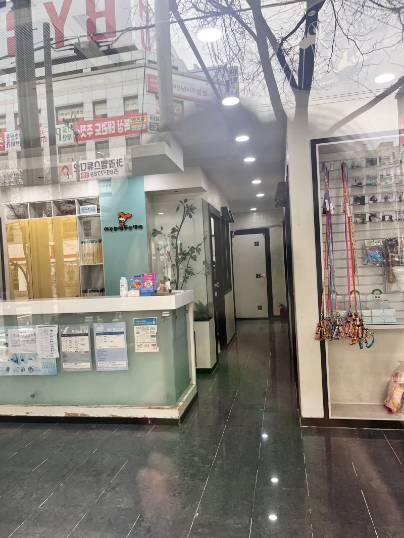 이곡동물병원