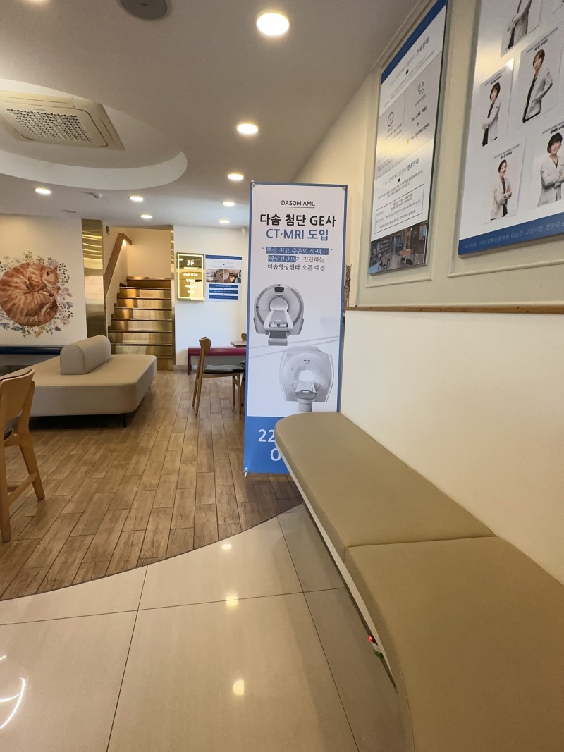 부산동물병원 다솜고양이메디컬센터 노령묘 종합건강검진 받고 왔어요