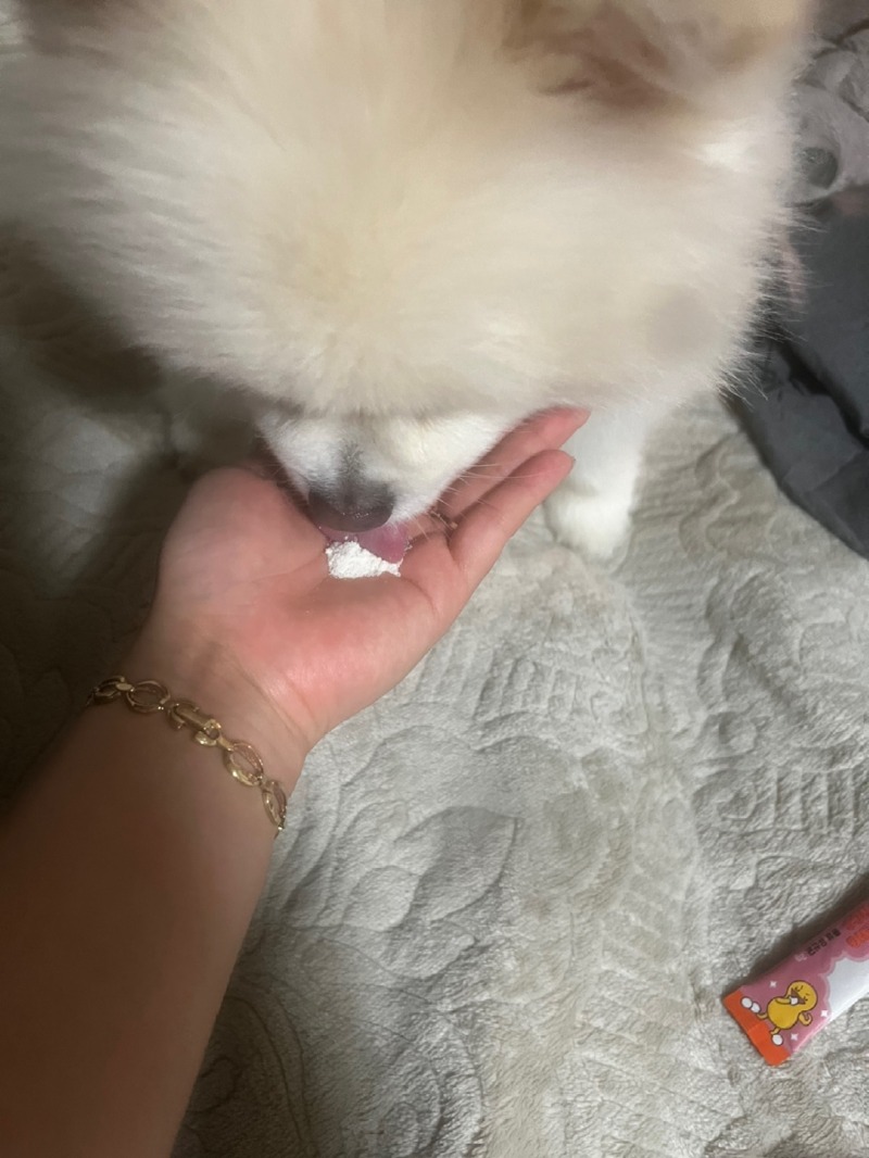 KakaoTalk_20240229_012916027_01.jpg