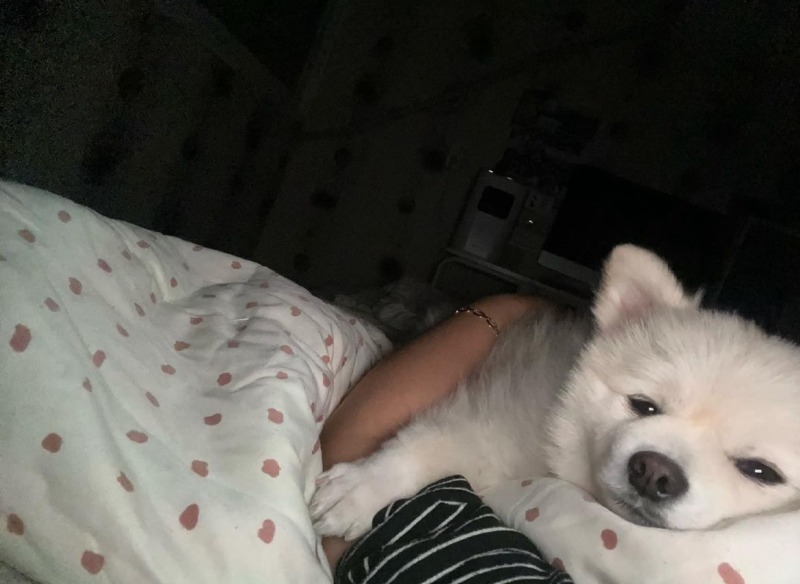 전기장판이 필요가 없네요 !!