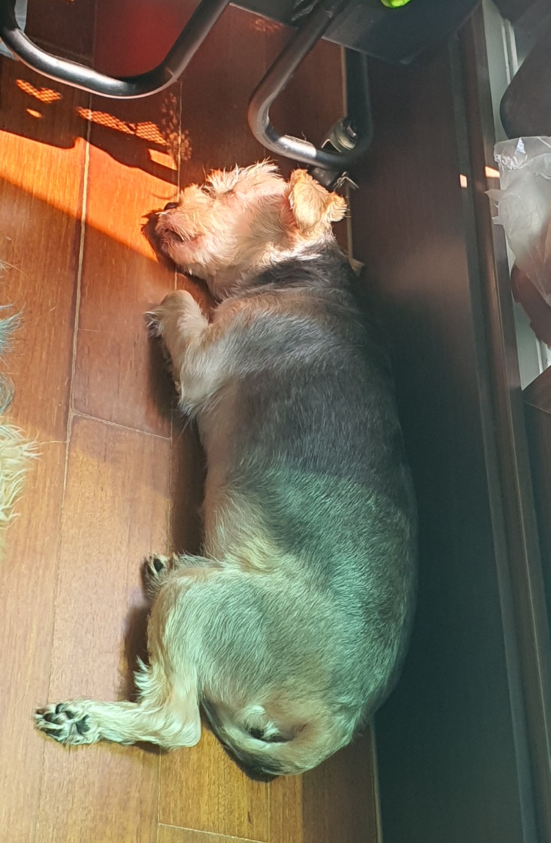 미용했어요