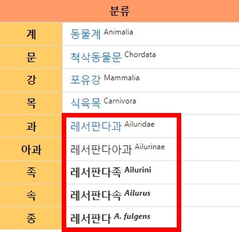 궁극의 귀여움 레서판다