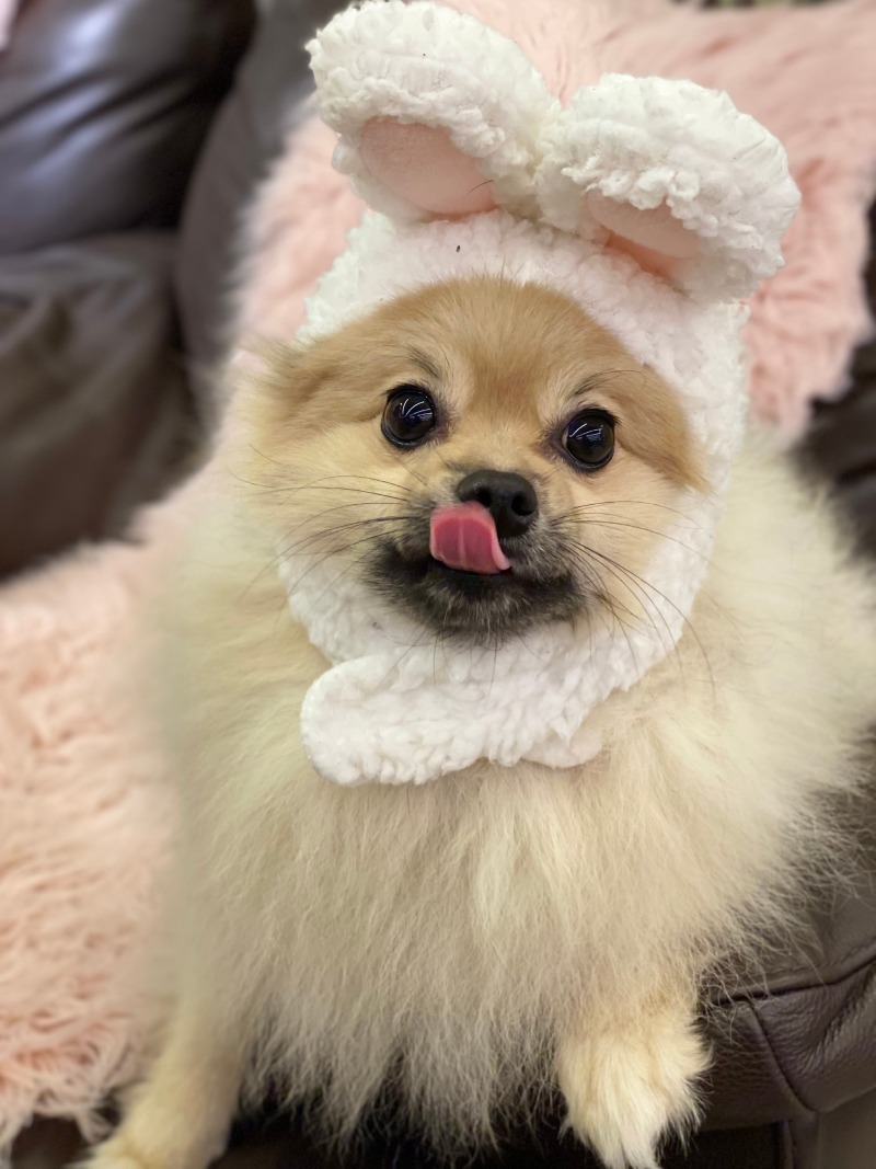 오르치그로치 다녀왔어요ㅎㅎ