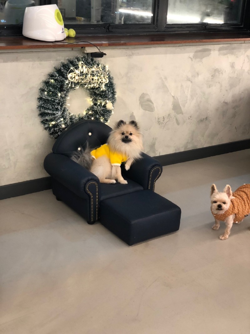 오르치그로치 다녀왔어요ㅎㅎ