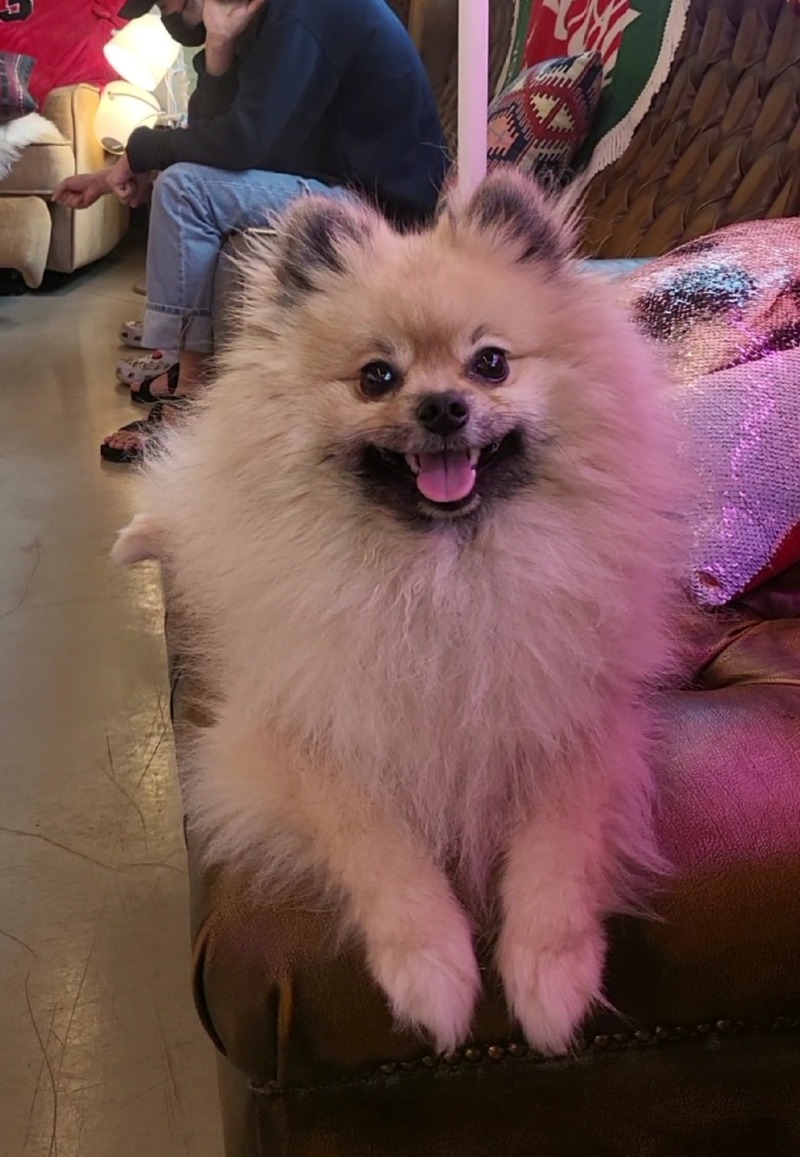오르치그로치 다녀왔어요ㅎㅎ