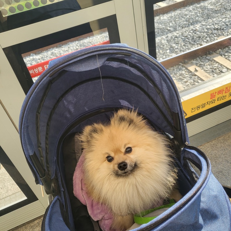 KakaoTalk_20240308_170348067_02.jpg