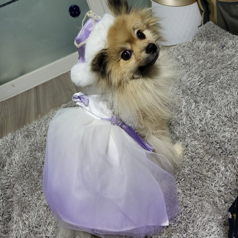 KakaoTalk_20240308_165758580_02.jpg