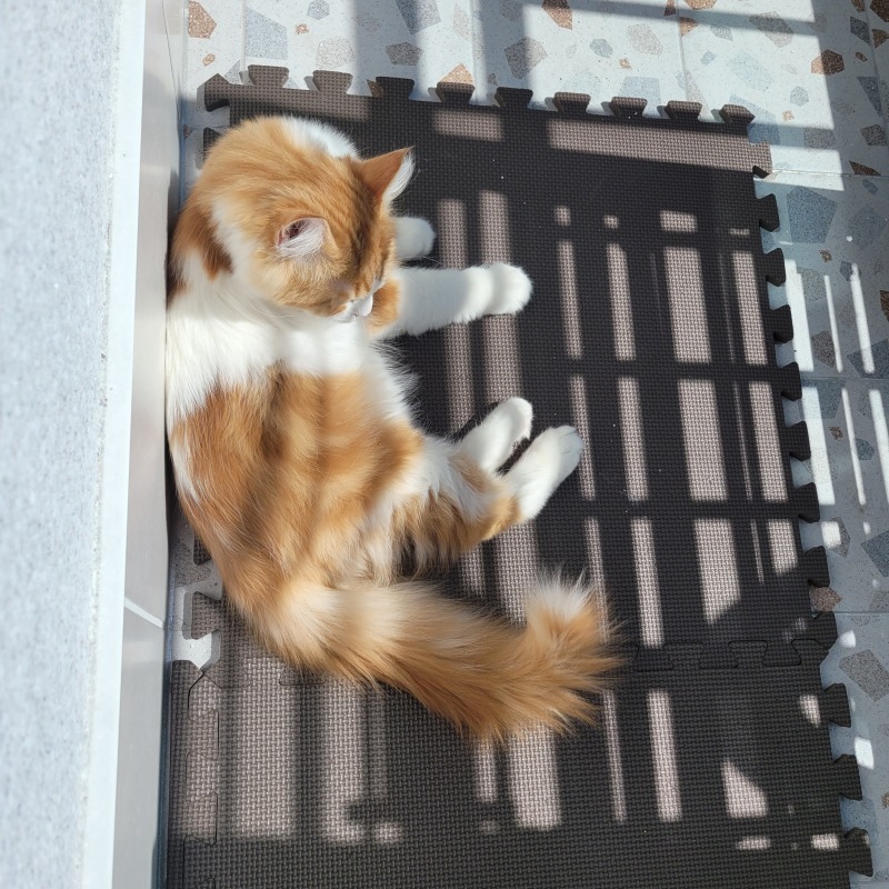 KakaoTalk_20240308_205305199_04.jpg