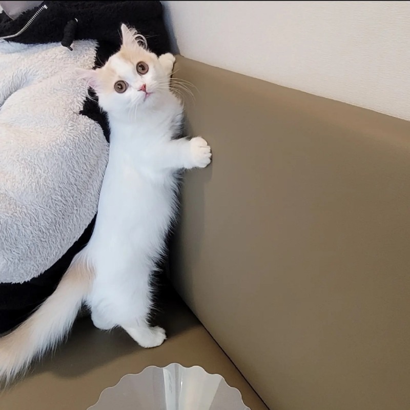 칠곡온동물병원 다녀왔어요!