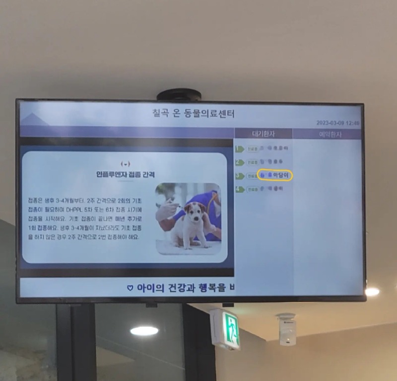 칠곡온동물병원 다녀왔어요!