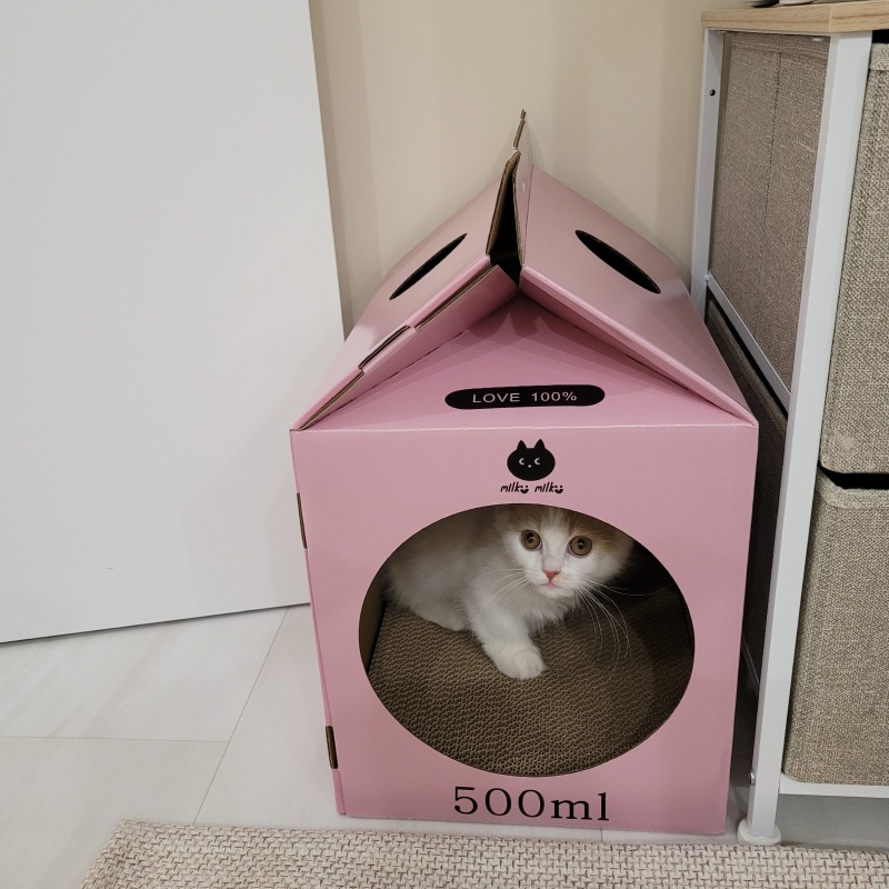 KakaoTalk_20240308_204151191_02.jpg