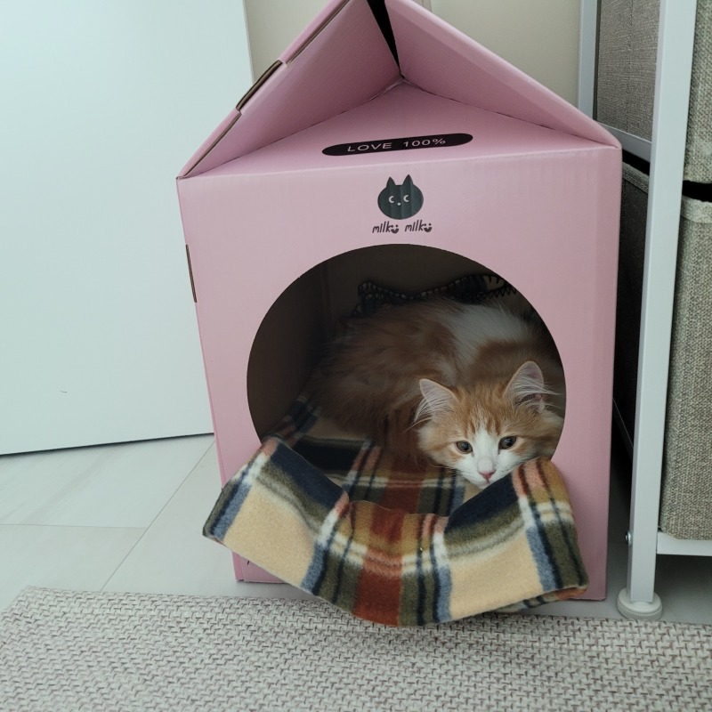 KakaoTalk_20240308_204151191_03.jpg