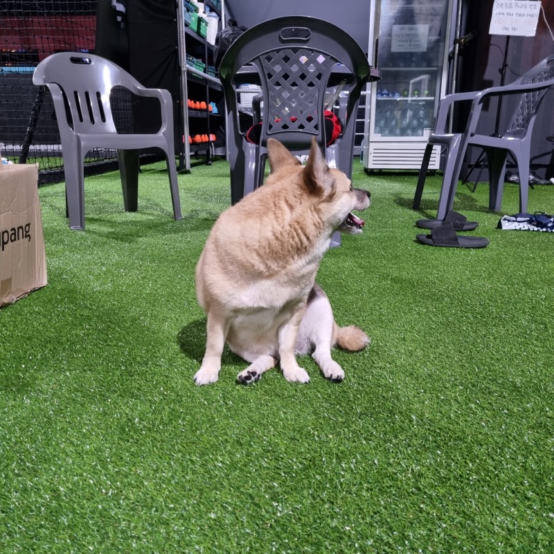 대일풋살파크에 따라왔다!!